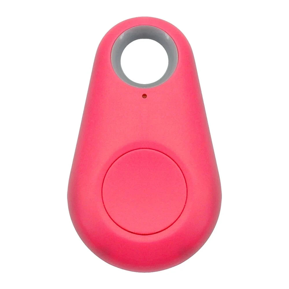Pet Smart GPS Tracker