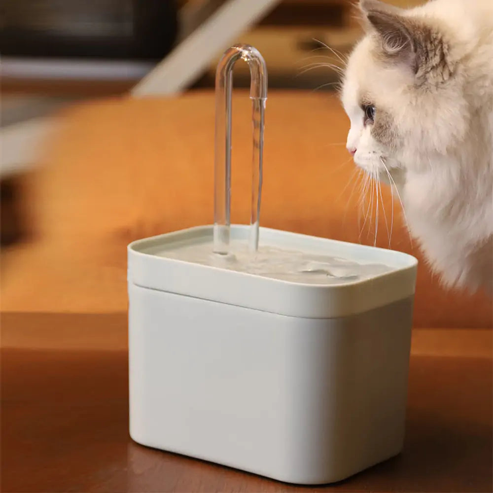 Pet Water Dispenser